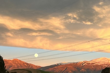 뉴질랜드 신혼여행 14박 후기